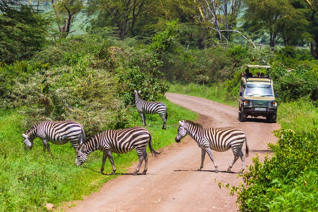 Arusha,,Tanzania,-january,23,,2018-,Safari,Vehicles,In,The,Ngorongoro